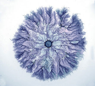 The Physics of Cancer – Food for Thought